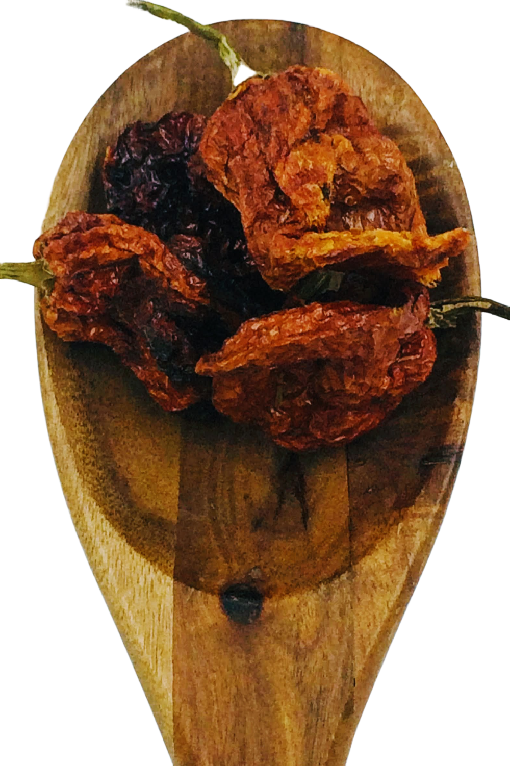 featured product