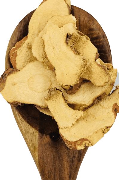 Galangal Slices