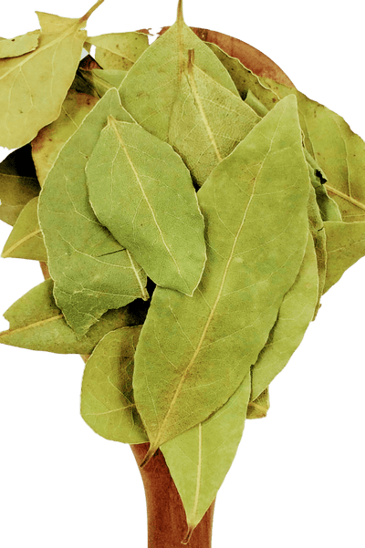 Bay Leaf