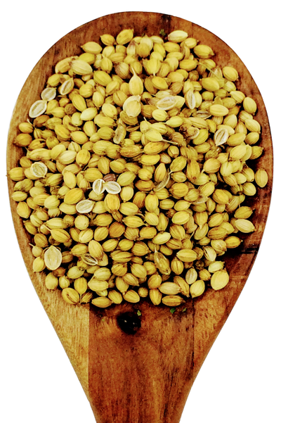 Coriander Seeds