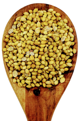 Coriander Seeds