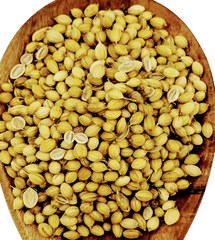 Coriander Seeds