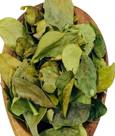 Curry Leaves