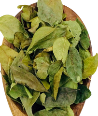 Curry Leaves