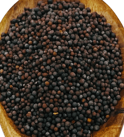 Mustard Seed Brown